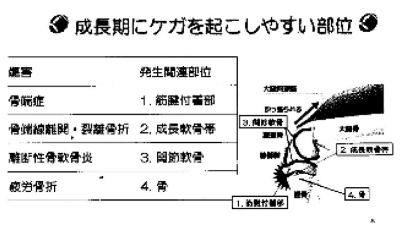 講演会の様子